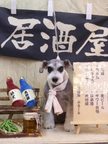 20240611ふたばちゃん